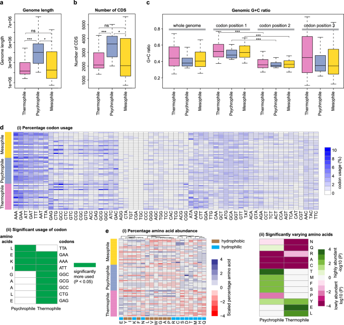 Genomic and metabolic network properties in thermophiles and psychrophiles compared to mesophiles