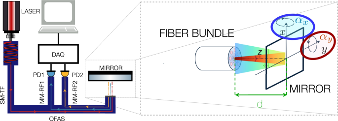 Exhaustive analysis and simple model of an angular displacement optical fiber sensor