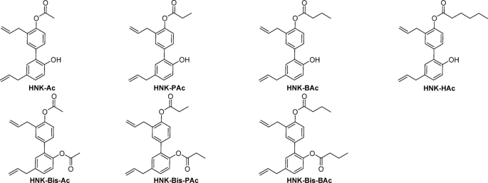 Inhibition of levodopa metabolism to dopamine by honokiol short-chain fatty acid derivatives may enhance therapeutic efficacy in Parkinson’s disease
