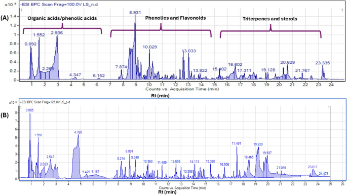 UPLC-HRMS-MS profiling of Ludwigia adscendens subsp. diffusa aerial parts and investigation of the anti-inflammatory effect