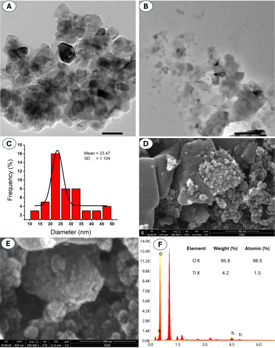 Multifaceted biomedical applications of biogenic titanium dioxide nanoparticles fabricated by marine actinobacterium Streptomyces vinaceusdrappus AMG31