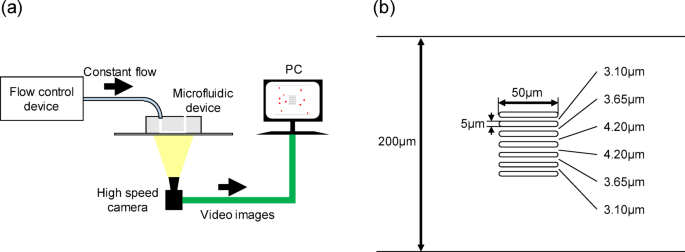An on-chip deformability checker demonstrates that the severity of iron deficiency is associated with increased deformability of red blood cells