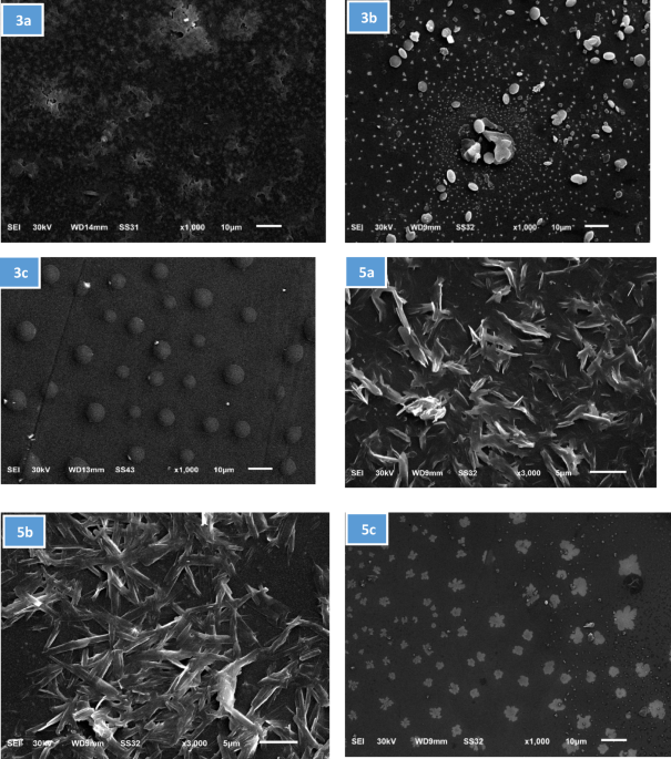 Tuning surface properties of thiophene-based thin films on glass substrates for cancer cell adhesion, drug release control, and computational analysis