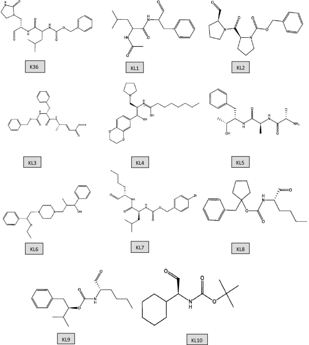 K36-based inhibitor analogs as potential therapeutics against SARS-CoV-2 main protease (Mpro): a computational investigation