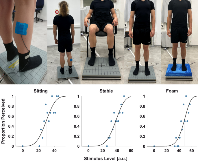 Postural demands modulate tactile perception in the lower limb in young and older adults
