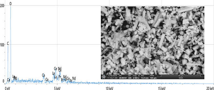 Potential molluscicidal and antimicrobial activities of rare earth elements against the land snail Theba pisana and certain microorganisms