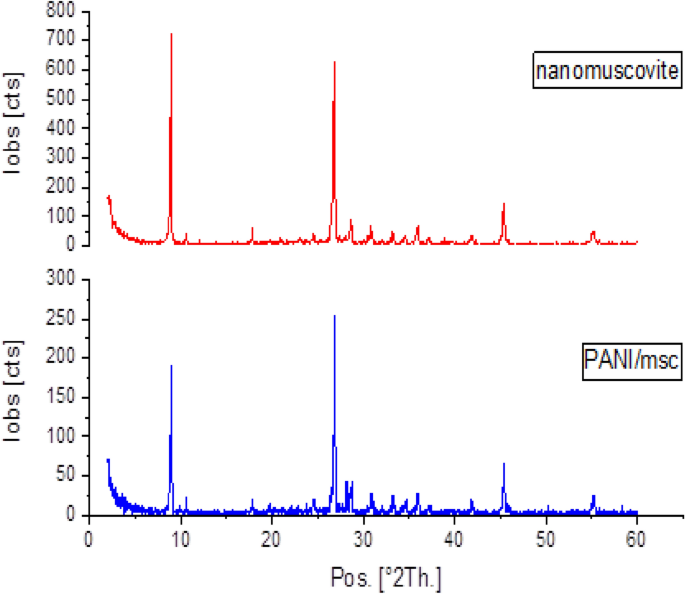 Muscovite based polyaniline nanocomposite as effective adsorbent for removal of Cd2+ and Pb2+ ions from liquid waste