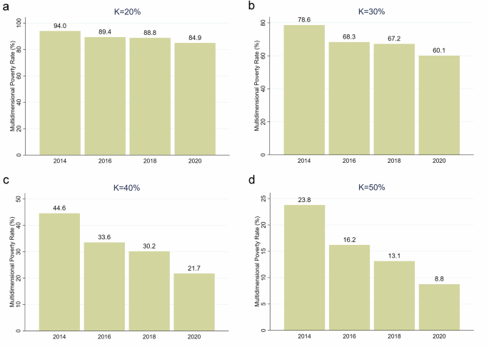 The analysis of multidimensional poverty reduction effects of dual financial participation: evidence from rural household in China