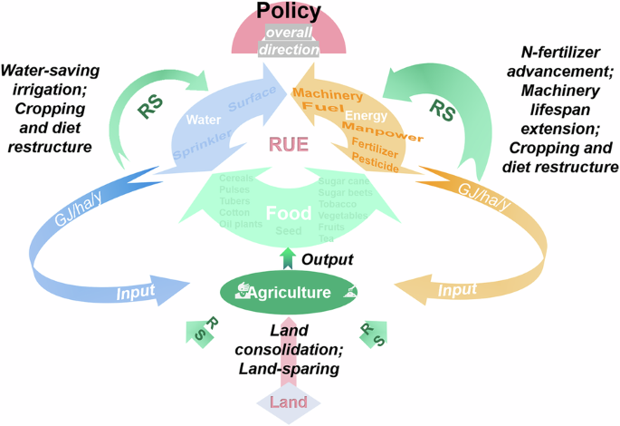 On-farm resource-use efficiency in China: overall rebounding trends and region-specific enhancement opportunities