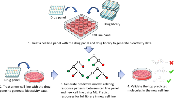 Establishing predictive machine learning models for drug responses in patient derived cell culture