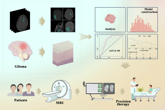 Machine learning-based MRI radiomics predict IL18 expression and overall survival of low-grade glioma patients
