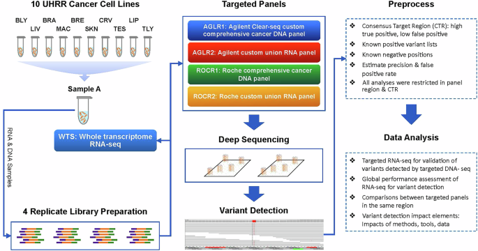 Augmenting precision medicine via targeted RNA-Seq detection of expressed mutations