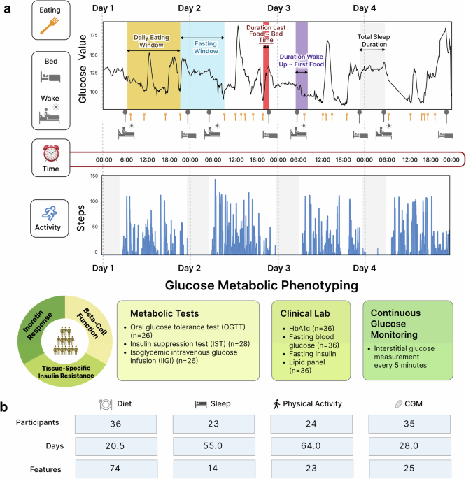 High-resolution lifestyle profiling and metabolic subphenotypes of type 2 diabetes