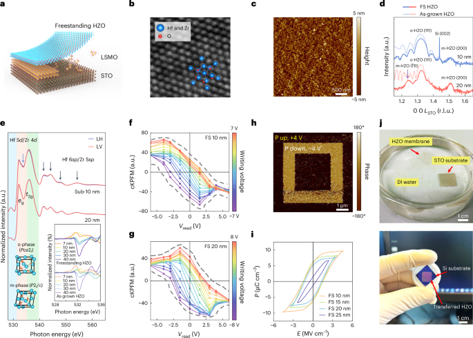Integration of freestanding hafnium zirconium oxide membranes into two-dimensional transistors as a high-κ ferroelectric dielectric