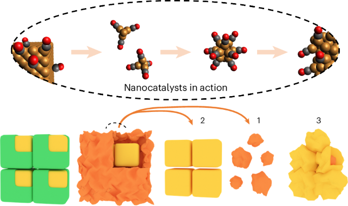 Operando probing dynamic migration of copper carbonyl during electrocatalytic CO2 reduction