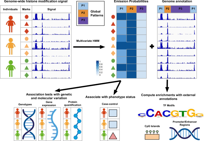 Genome-wide identification and analysis of recurring patterns of epigenetic variation across individuals