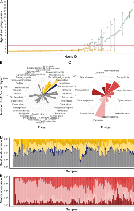 Mucosal immune responses and intestinal microbiome associations in wild spotted hyenas (Crocuta crocuta)