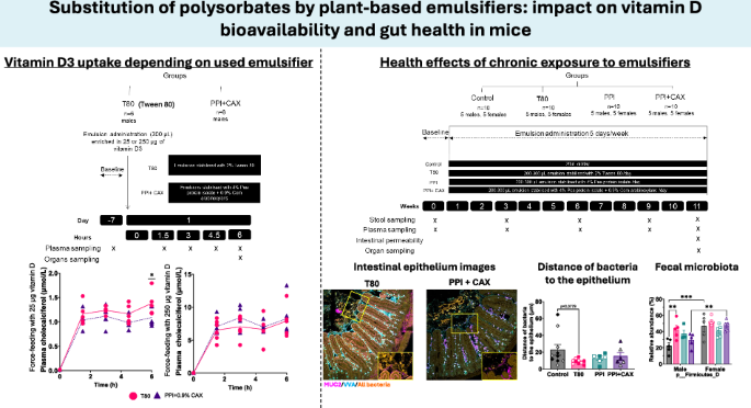 Substitution of polysorbates by plant-based emulsifiers: impact on vitamin D bioavailability and gut health in mice