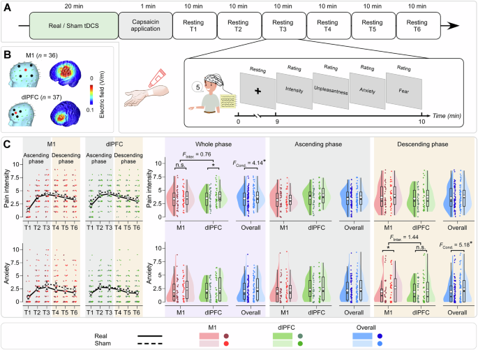 Preemptive transcranial direct current stimulation mitigates susceptibility to persistent pain