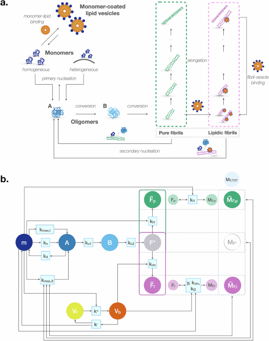 A mechanistic model of pure and lipidic α-synuclein aggregation for advancing Parkinson’s therapies