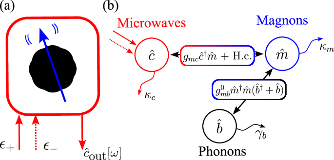 Magnon-microwave backaction noise evasion in cavity magnomechanics