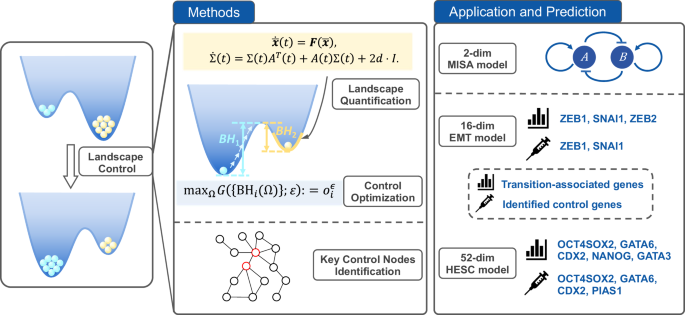 Landscape control for cell fate transitions