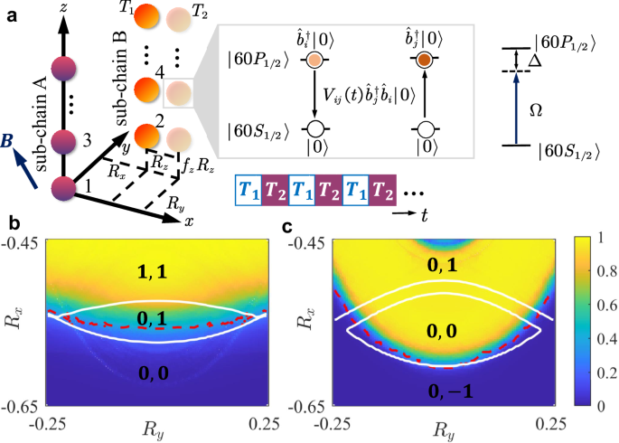 Floquet amorphous topological orders in a one-dimensional Rydberg glass
