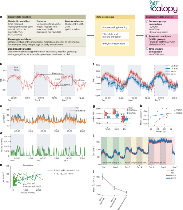 Calopy — an advanced framework for the integration and analysis of indirect calorimetry data