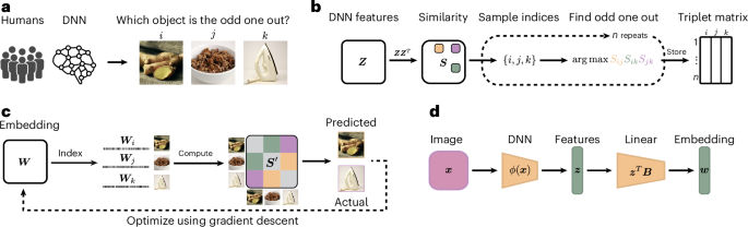 Dimensions underlying the representational alignment of deep neural networks with humans