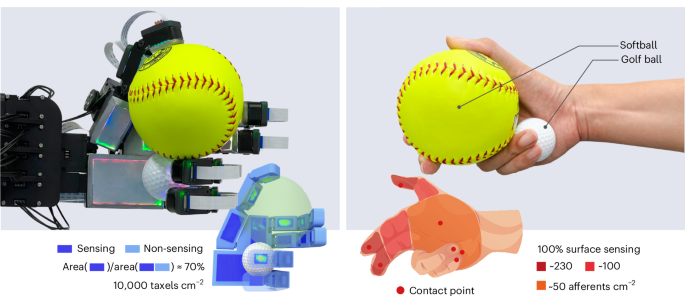 Embedding high-resolution touch across robotic hands enables adaptive human-like grasping