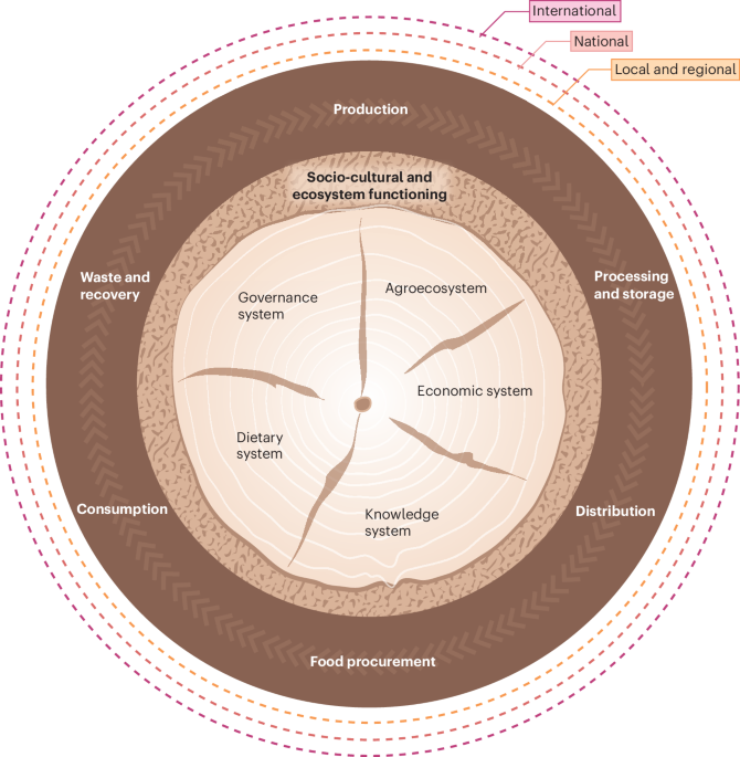 A mangrove metaphor for sustainable food systems centres diversification as the root of human and planetary health