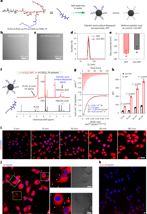 Concurrent inhibition of tumor growth and metastasis by a lipidated nanophotosensitizer tracing and disabling tumor extracellular vesicles