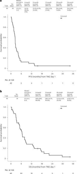 A peptide vaccine targeting the CMV antigen pp65 in children and young adults with recurrent high-grade glioma and medulloblastoma: a phase 1 trial