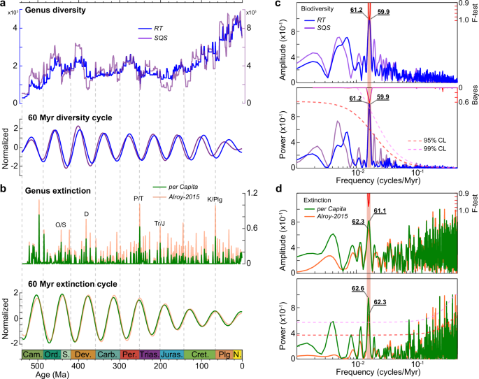 A tectonically driven 60 million-year biogeochemical redox cycle paces marine biodiversity