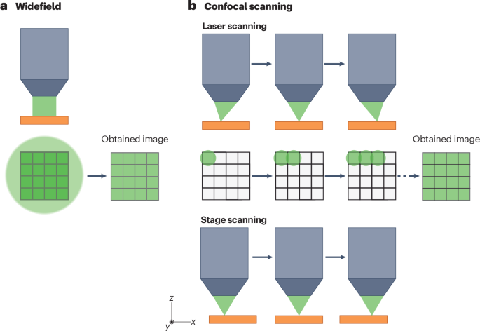 Photoluminescence microscopy of optoelectronic materials