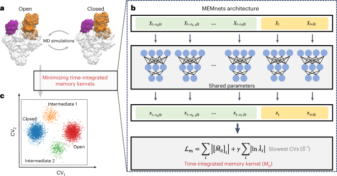 Memory kernel minimization-based neural networks for discovering slow collective variables of biomolecular dynamics