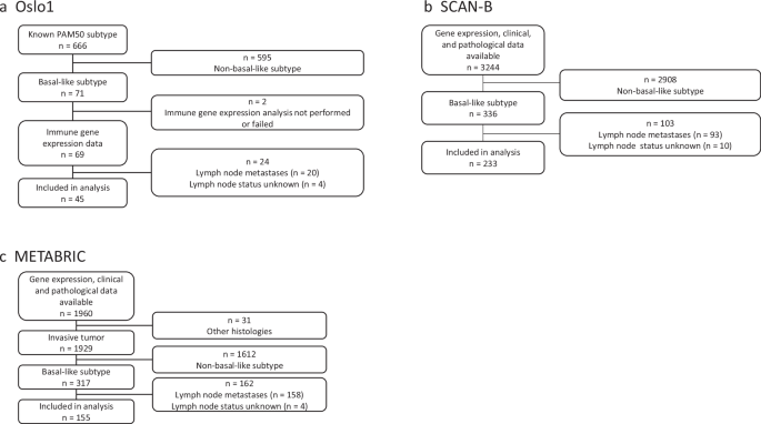 High tumor expression of CTLA4 identifies lymph node-negative basal-like breast cancer patients with excellent prognosis