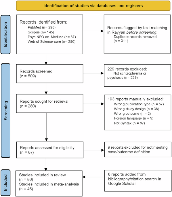 Relationship between grammar and schizophrenia: a systematic review and meta-analysis