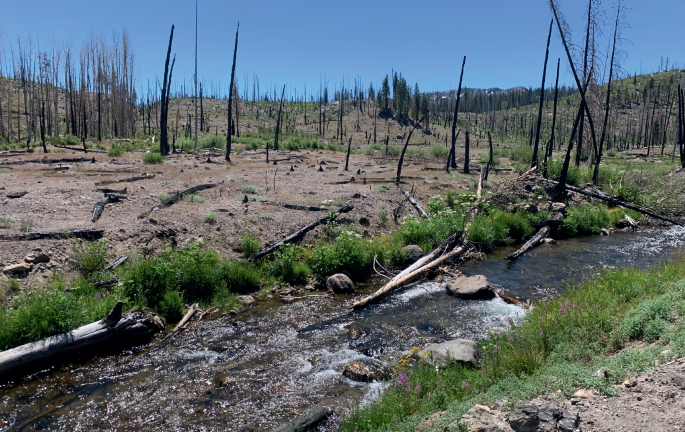 Climate science and the case of the missing moisture