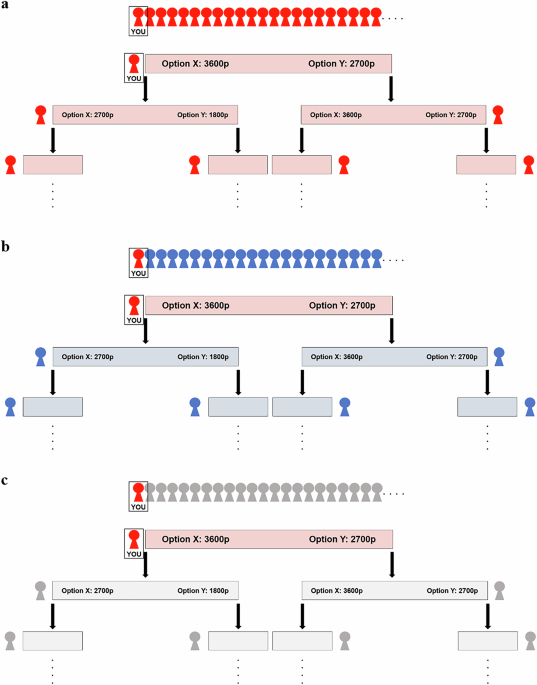 Ingroup favoritism and outgroup derogation in intergenerational cooperation
