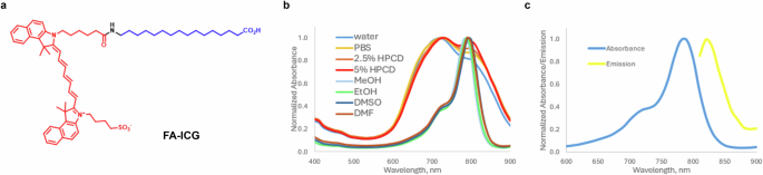 Near-infrared fatty acid molecular probe for image-guided surgery of glioblastoma