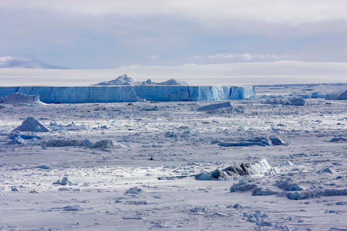 Scientists stunned after detecting unexpected shift in Antarctic Ice Sheet: ‘A historic turnaround’