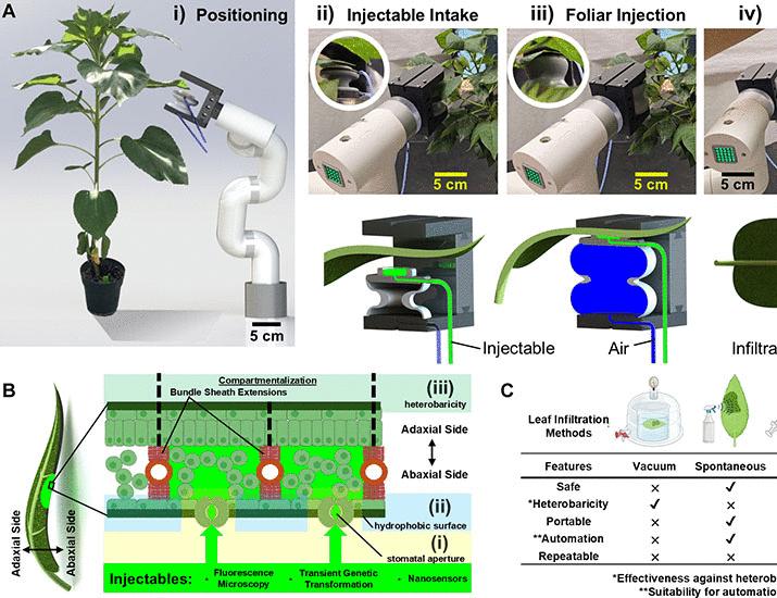 In situ foliar augmentation of multiple species for optical phenotyping and bioengineering using soft robotics | Science Robotics