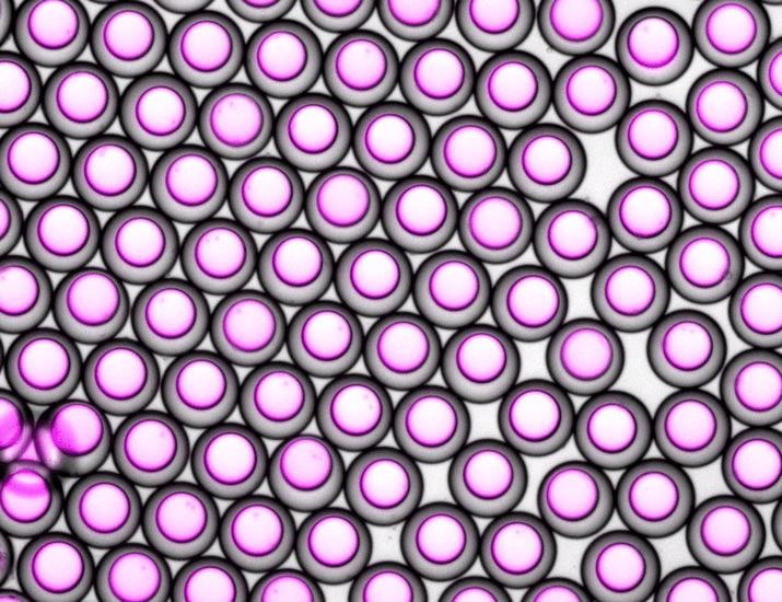 Core-shell microcapsules compatible with routine injection enable prime/boost immunization against malaria with a single shot | Science Translational Medicine