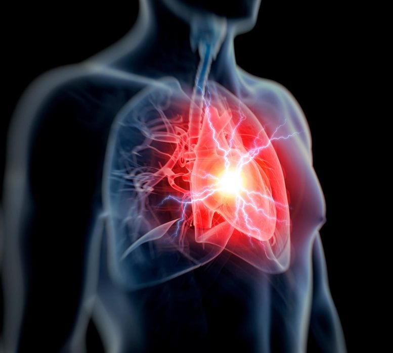 New AI Spots Hidden Heart Attack Risk at the Click of a Button