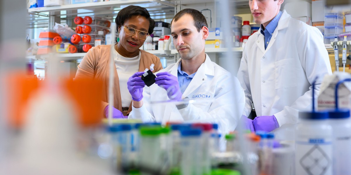 Cancer-targeting nanoparticles are moving closer to human trials