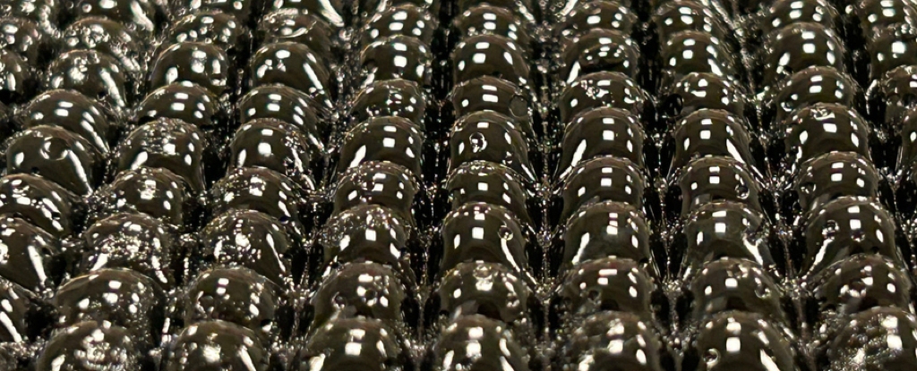 This Strange ‘Bubble Wrap’ Can Produce Drinking Water in The Desert : ScienceAlert