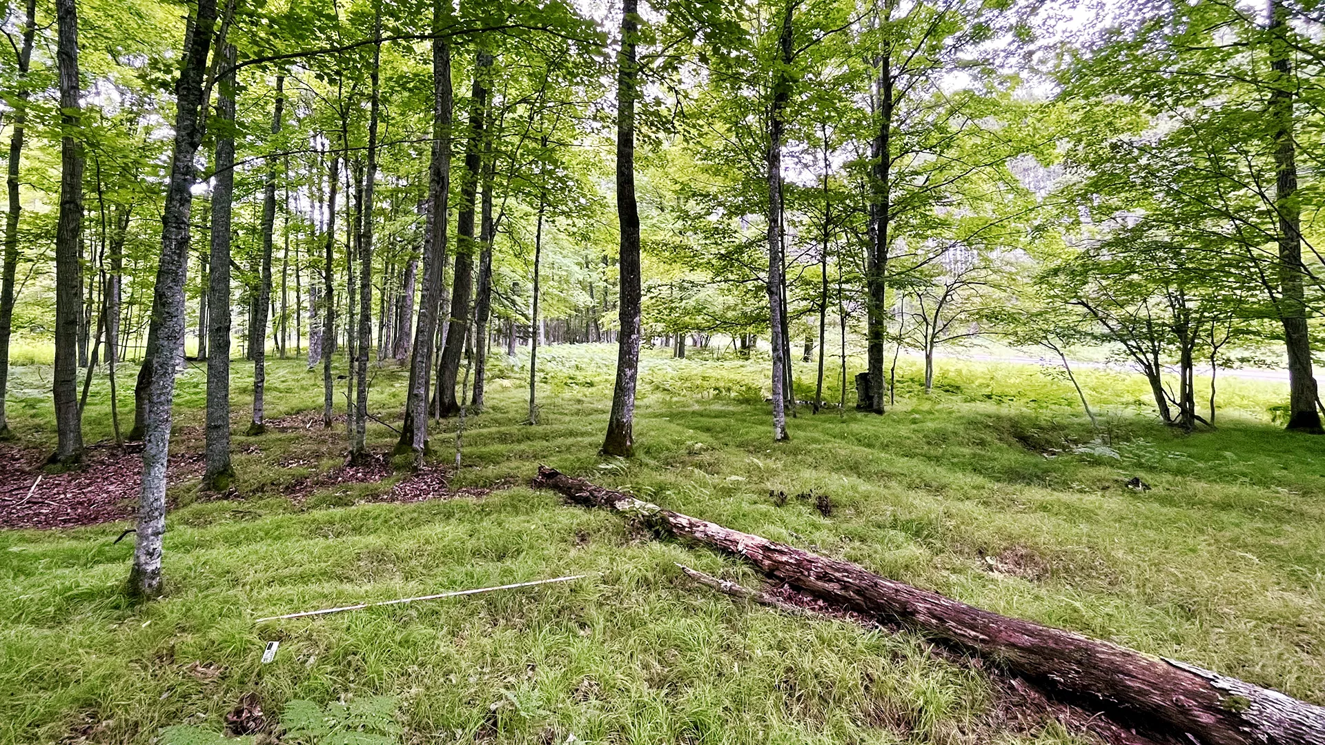 Drone tech uncovers 1,000-year-old native american farms in michigan