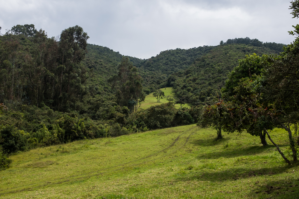 South America’s First Hunter-Gatherers Appeared, Then Unusually Disappeared 2,000 Years Ago