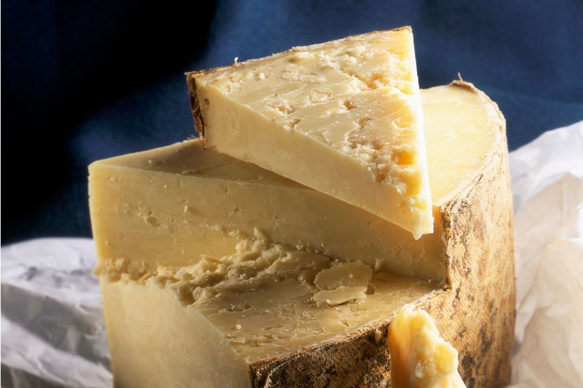 3,500 years ago, someone packed cheese for the afterlife. Here’s why
